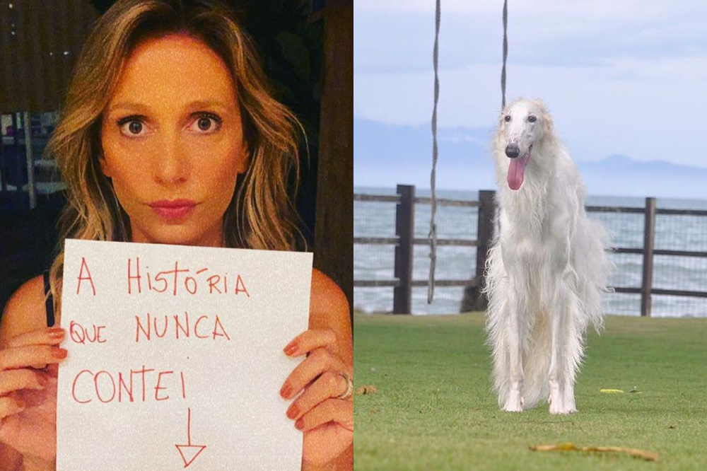 Imagem de Luisa Mell ao lado do borzoi que ela foi acusada de roubar