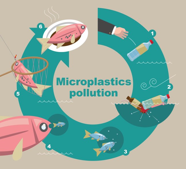 Ilustração de como o microplástico chega até você, do mar, passando pelo peixe até o seu prato de comida