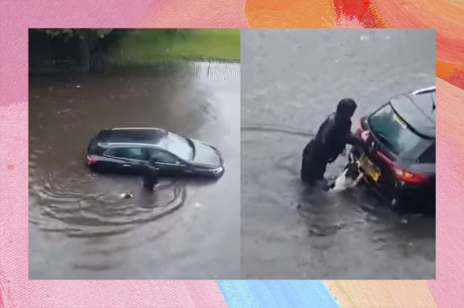 Prints de um vídeo que mostra um cachorro nadando na enchente para ajudar dono de carro, e depois empurrando o veículo junto do humano