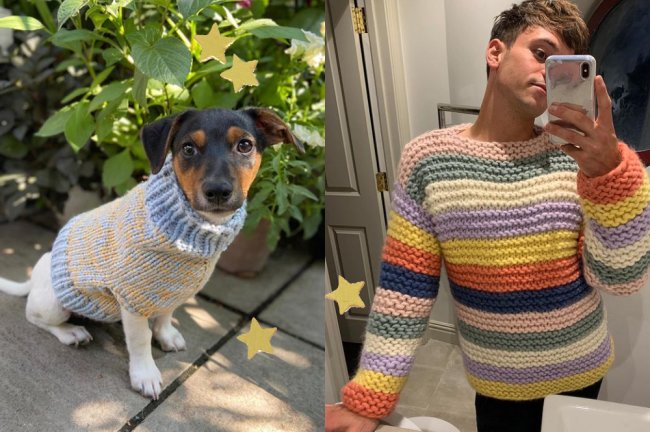 Saltador inglês é flagrado fazendo tricô no meio do treino e viraliza Um cachorro vestindo um suéter bege e azul, e o saltador Tom Daley vestindo um suéter colorido