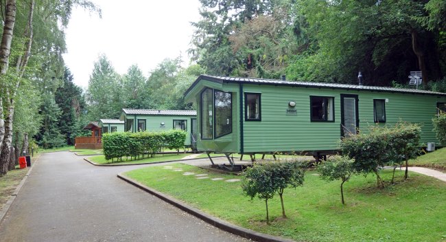 Foto de um trailer verde, em meio a algumas árvores