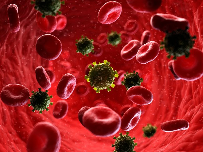 Imagem de uma corrente sanguínea contaminada pelo vírus HIV