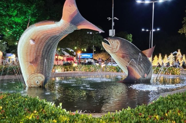 Fotografia do centro da cidade de Bonito, Mato Grosso do Sul. Está de noite e a foto registra uma fonte de água, com duas estátuas grandes de peixes.