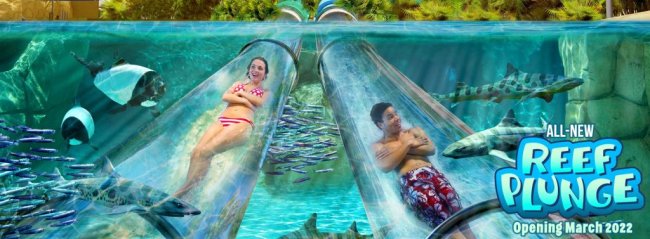 Imagem de divulgação da nova atração no Aquatica, parque de Orlando. O toboágua é transparente e passa no meio da água