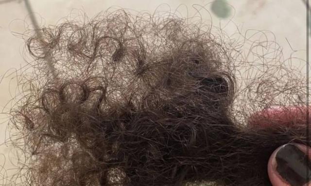 foto de uma mecha de cabelo cacheado, castanho escuro.