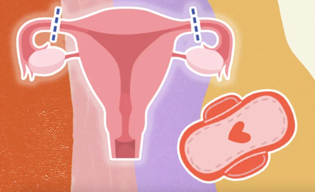 Duas conquistas femininas marcam o atual cenário político brasileiro: uma sobre o combate à pobreza menstrual e outra sobre a realização da laqueadura