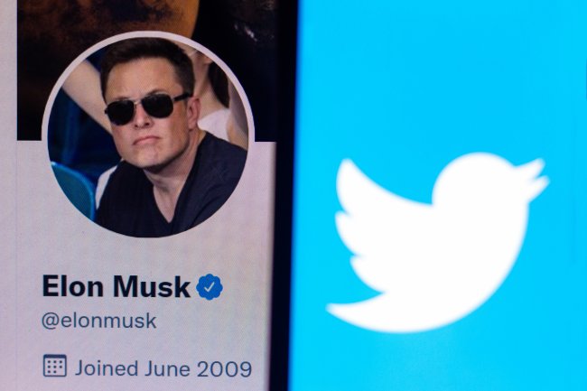 Imagem do perfil do Elon Musk no Twitter e do logo da rede social ao lado