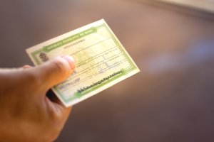 In this photo illustration a man holds a voters License (Tí