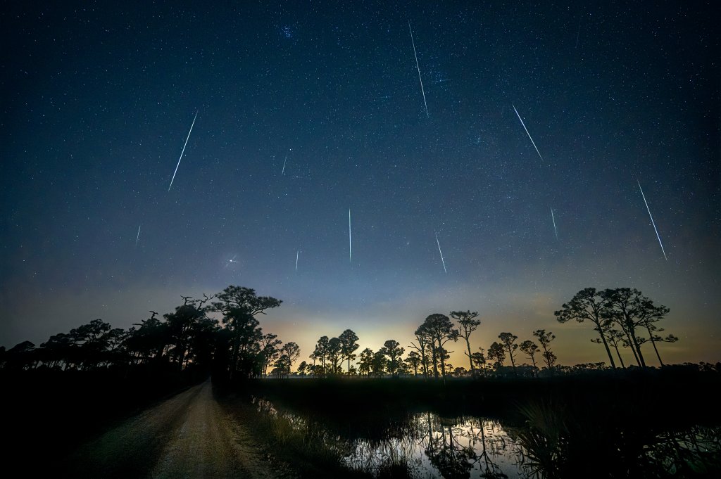 Foto de uma região de mata. Está de noite e, no céu, tem vários meteoros caindo