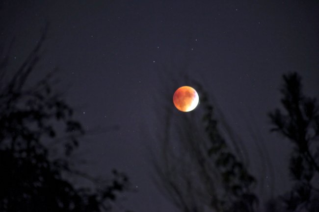 Foto de uma Lua de Sangue. Ela é cheia e alaranjada, e o céu está cheio de estrelas