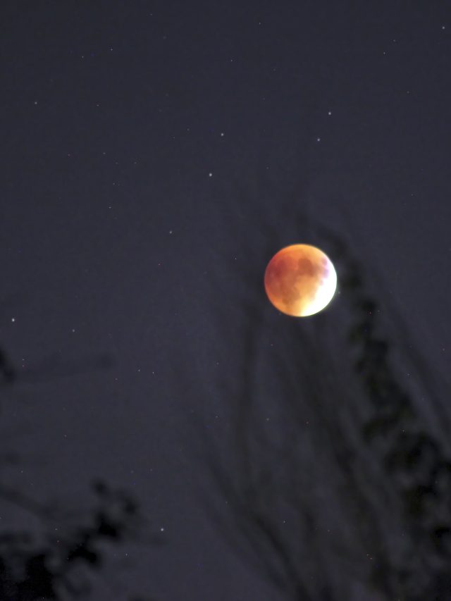 Lua de Sangue: como ver o eclipse lunar que ocorre neste domingo (15)