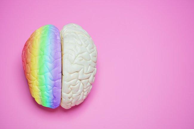 Cérebro branco em cima de um fundo rosa. Metade dele está pintado com as cores do arco-íris