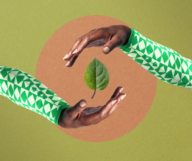 Duas mãos circundam uma folha verde