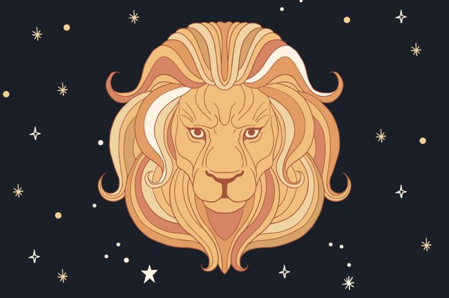 Ilustração do rosto de um leão sobre um céu estrelado