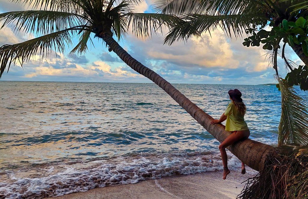 Foto de uma jovem mulher sentada no tronco de um coqueiro, olhando para o horizonte, em uma praia