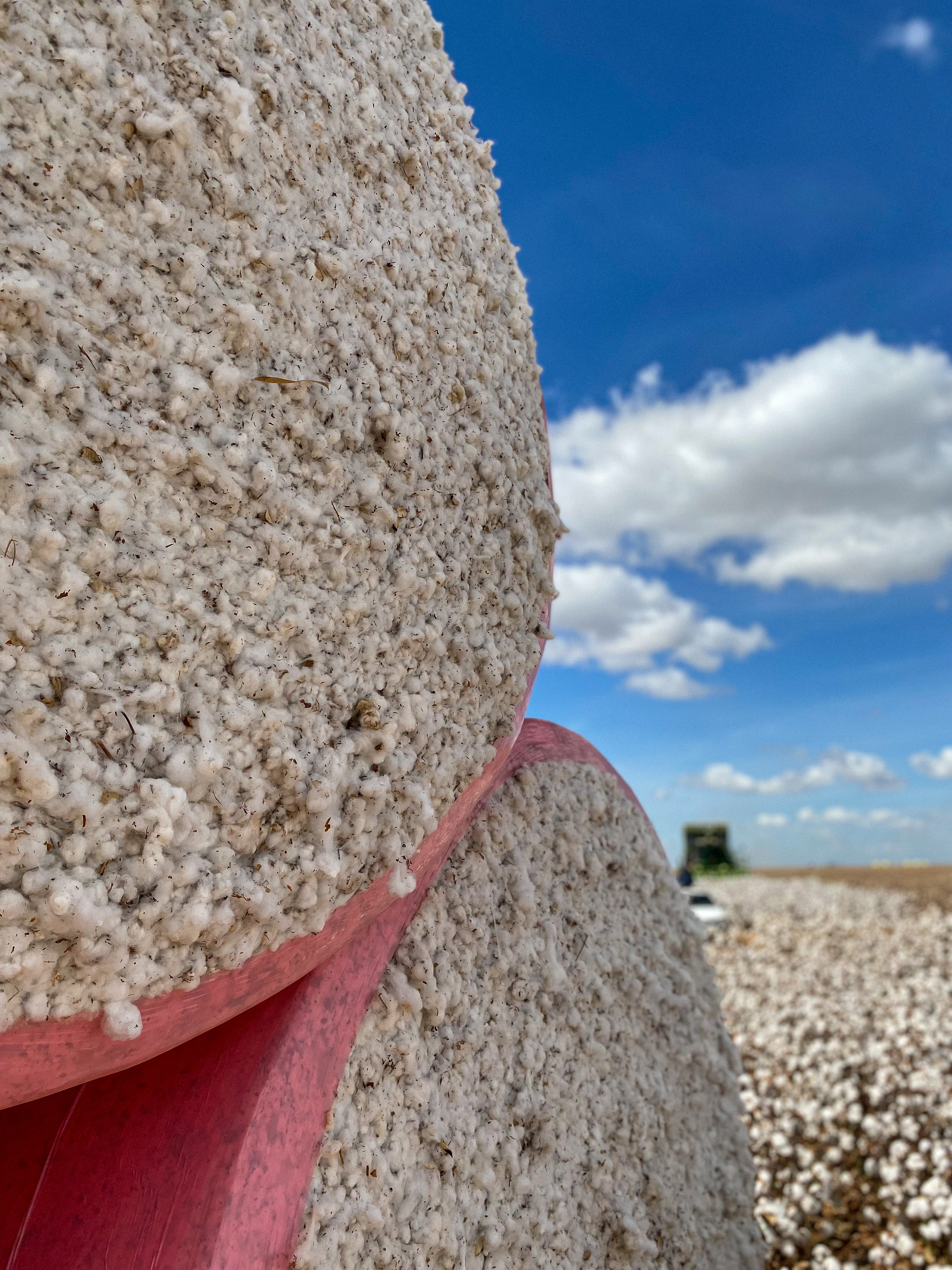 Dois rolos de duas toneladas de algodão em fazenda que possui plantação de algodão