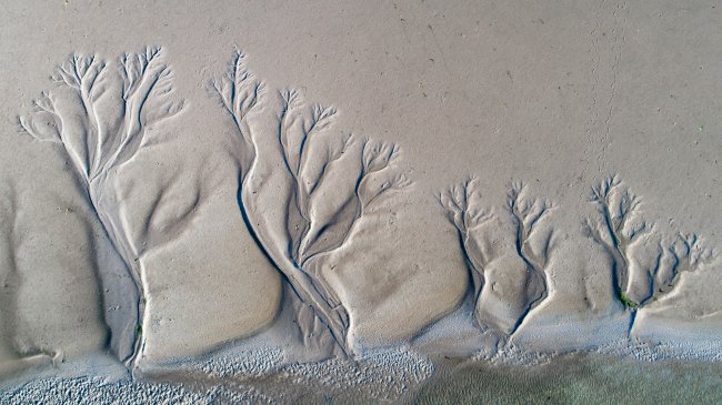 Desenhos na areia, promovidos pelo vento, que parece que tá saindo veias do mar