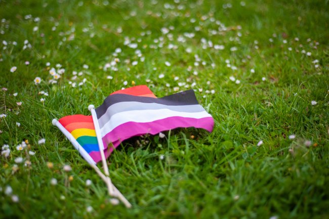 Duas pequenas bandeiras estão apoiadas sobre a grama. Uma tem as cores do arco-íris e a outra é preta, cinza, branca e roxa