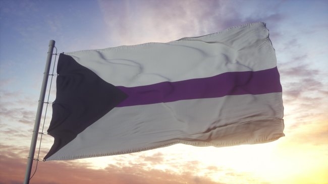 bandeira do orgulho demisexual