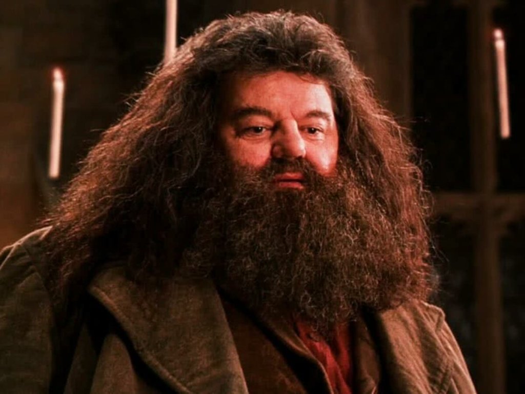 Robbie Coltrane como Hagrid em Harry Potter