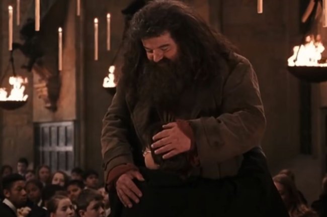 Hagrid e Harry se abraçando em cena de Harry Potter