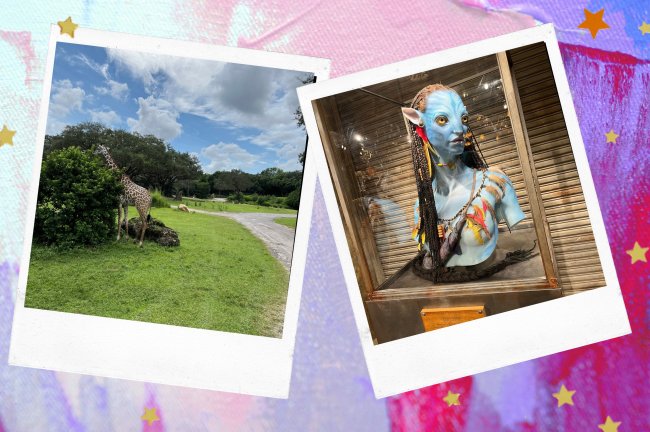 fotos do parque Animal Kingdom, em orlando. Na esquerda é o registro de uma girafa e na direita a estatua da personagem principal de avatar