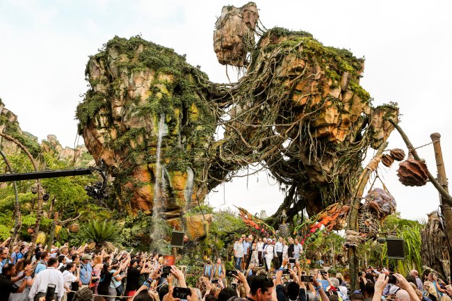 Segredos e curiosidades sobre Pandora, área de Avatar no Animal Kingdom Parte de Pandora, área da Disney dedicada a Avatar