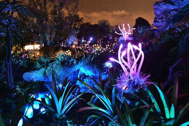 Segredos e curiosidades sobre Pandora, área de Avatar no Animal Kingdom 5 segredos e curiosidades sobre Pandora, área de Avatar no Animal Kingdom