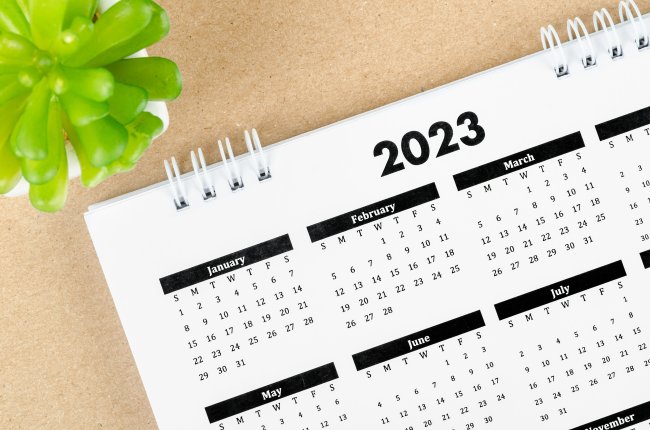 Calendário de 2023 apoiado sobre uma mesa bege. Ao lado dele, uma plantinha suculenta