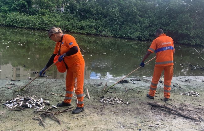 O que causou a morte de seis toneladas de peixes na Lagoa de Marapendi?