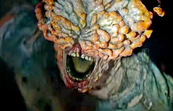 Sabia que o fungo "zumbi" de The Last of Us existe na vida real?
