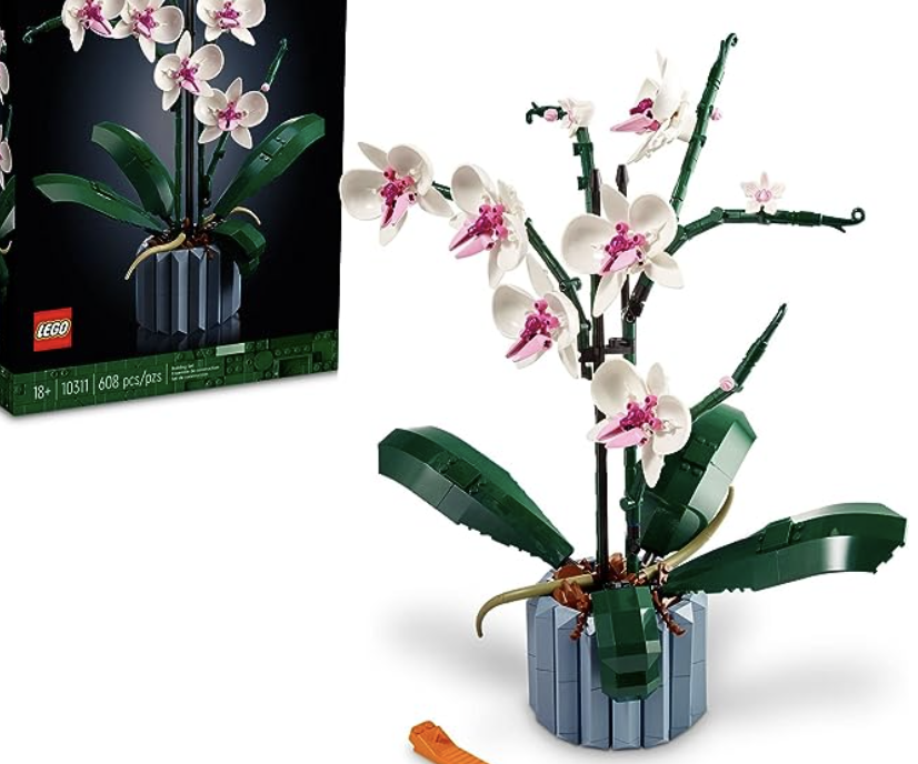 Orquídea Kit de Construção de Decoração de Plantas