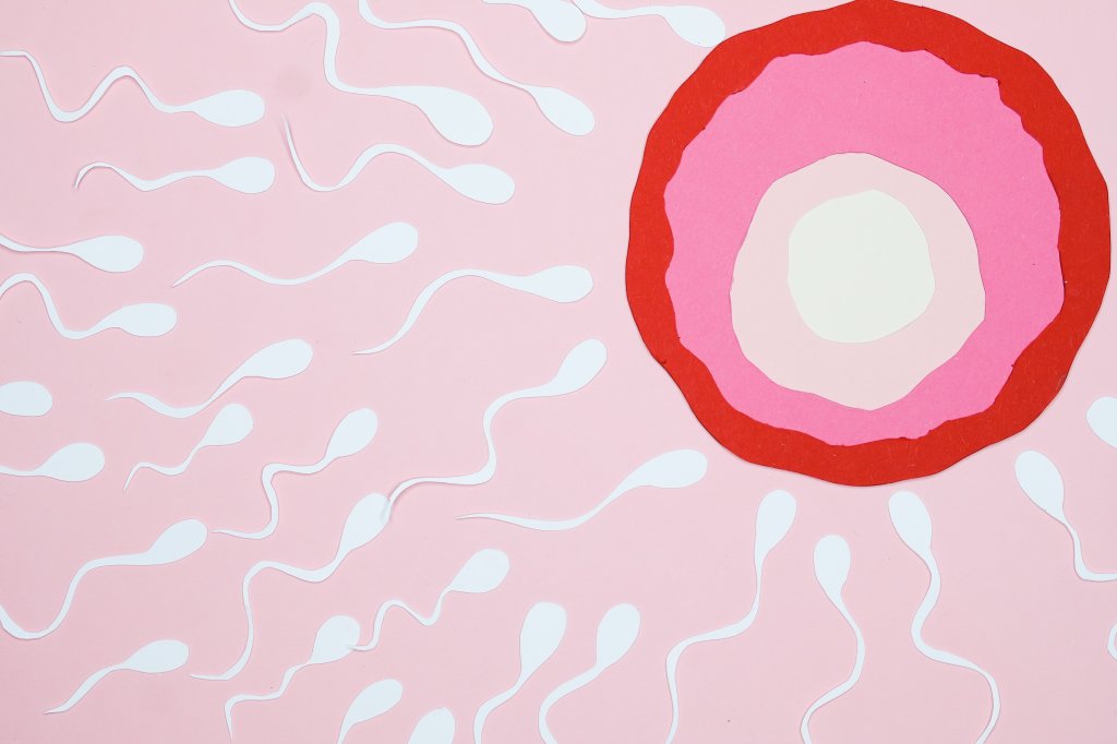 Ilustra de um óvulo rodeado de espermatozóides