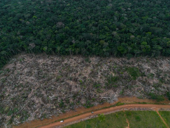 Desmatamento Desmatamento de floresta