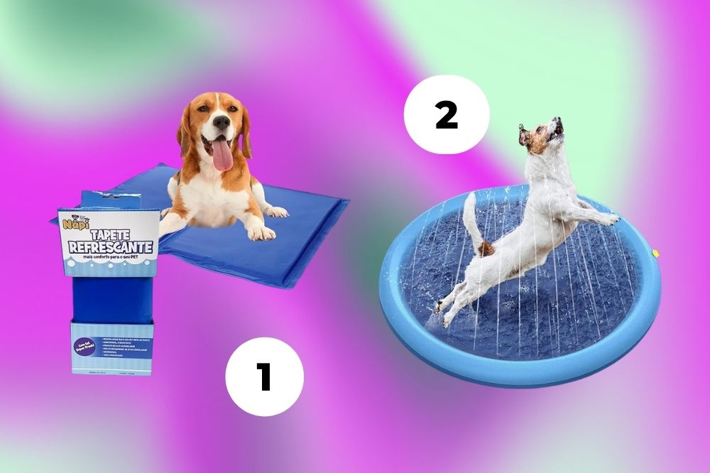 Imagem de um cachorro em cima de um tapete de gelo e outro cachorro em uma piscina pequena com água