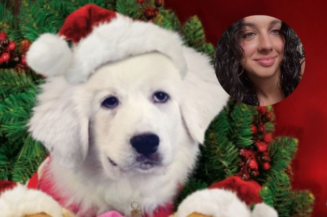 Santa Buddies – Uma Aventura de Natal Santa Buddies - Uma Aventura de Natal