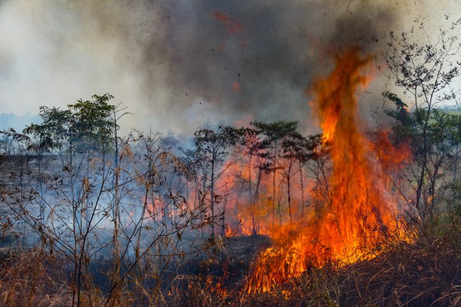 Queimadas em Rio Branco, no Acre, em 2020