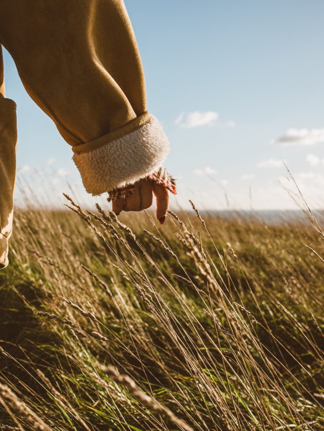 Slow living, estilo de vida mais leve