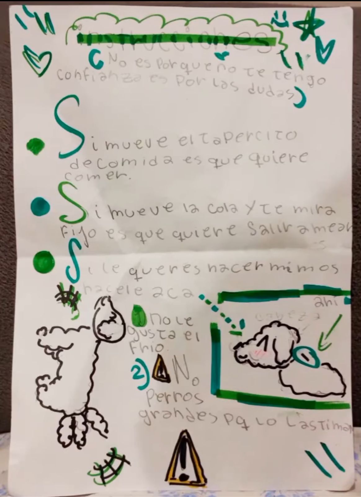 Menina escreve carta com instruções desenhadas para creche cuidar do cachorro.