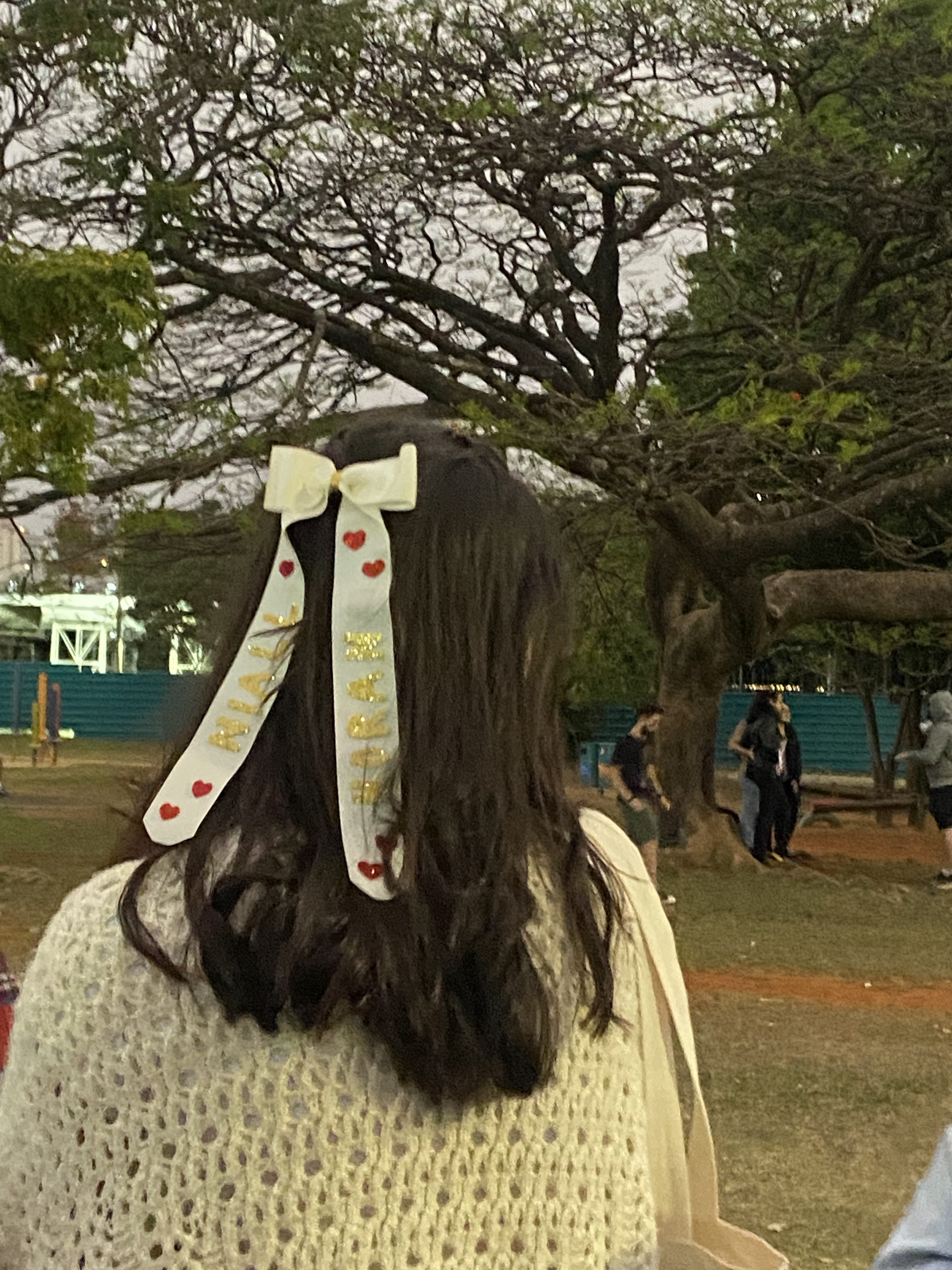 Garota usando penteado com laço em show do Niall Horan