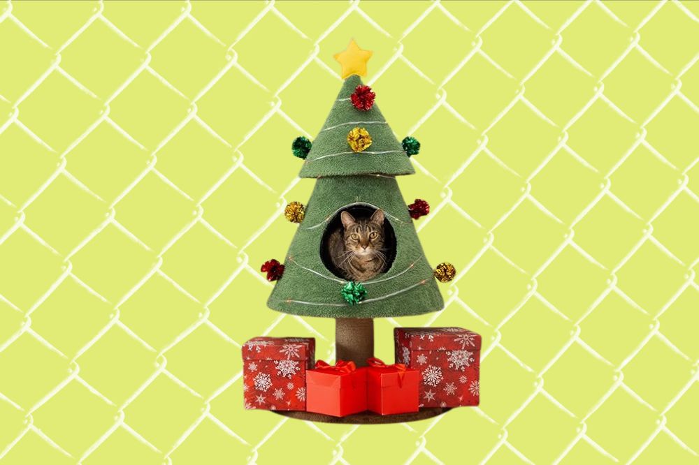 Imagem de um gato ao lado de uma árvore de Natal de arranhador.