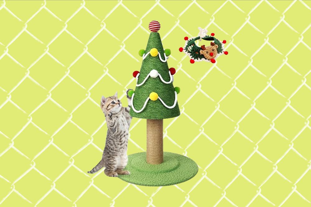 Imagem de um gato ao lado de uma árvore de Natal de arranhador.